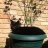 coffeecat