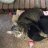 revcatlover