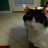 izzy