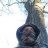 bowhunter8