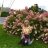 cathyn518