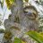 TheSloth