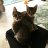 2Kittens
