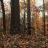 MTBinNC